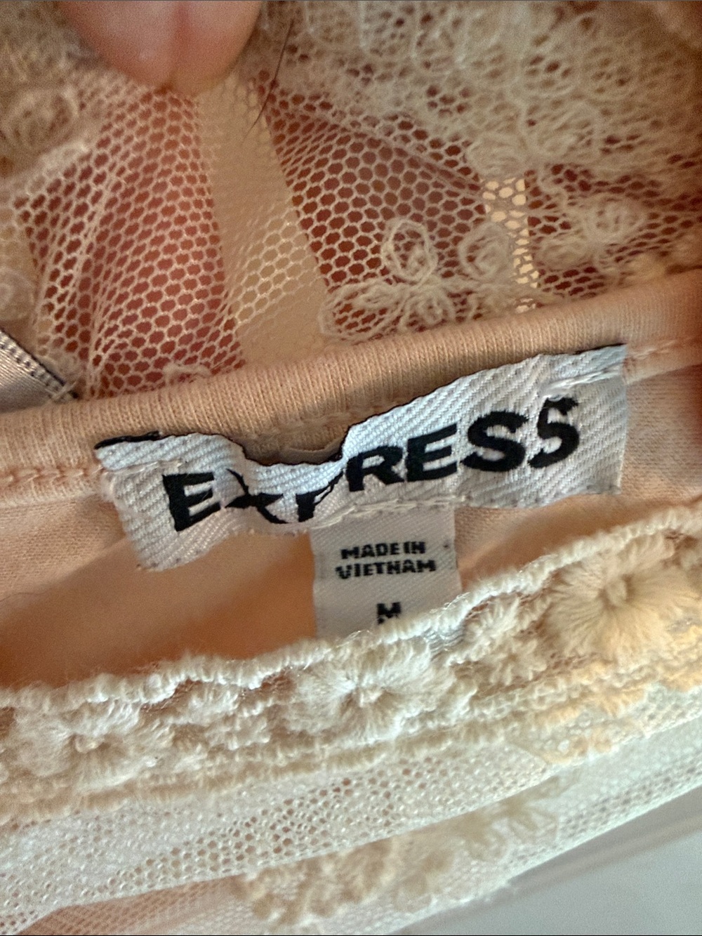 Beautiful Lace-Trim Sheer Chemise in Cream over a perfectly matched Express Tank - Picture 3 of 8